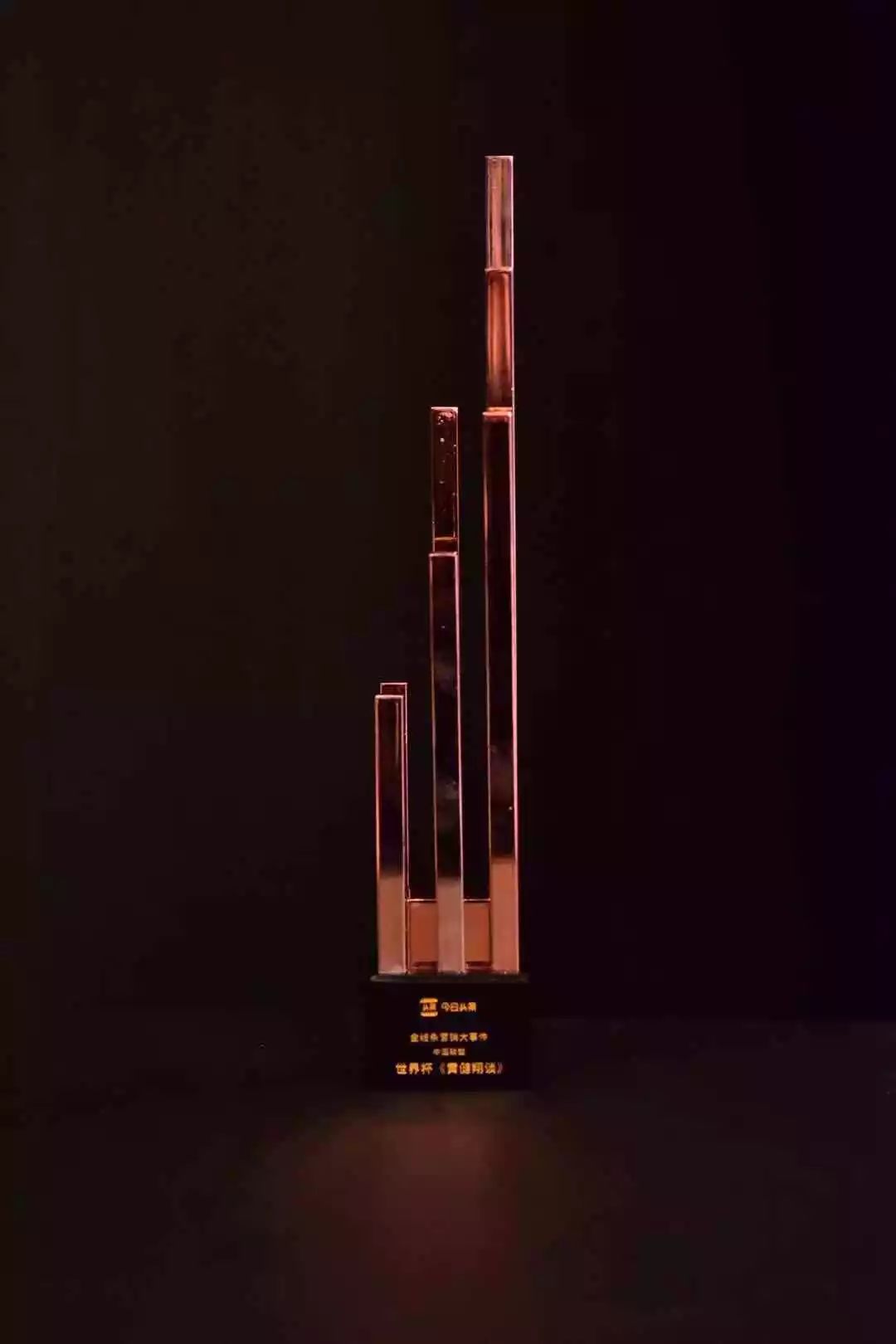 金線條營銷品牌獎(jiǎng)——中國聯(lián)塑《世界杯——黃健翔談》